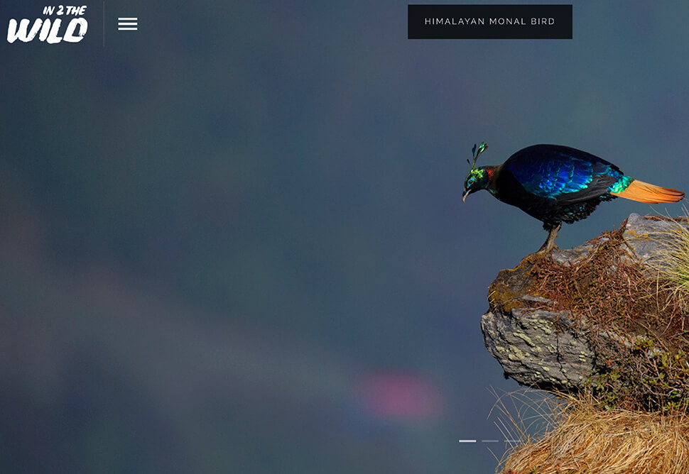 apastron-portfolio-intowild-thumbnail